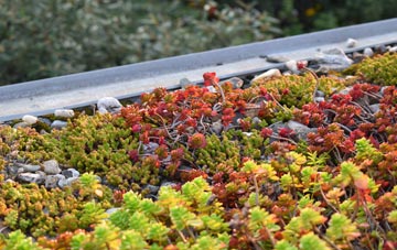 the cost of The City green roof installation