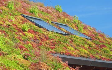 The City living roof systems